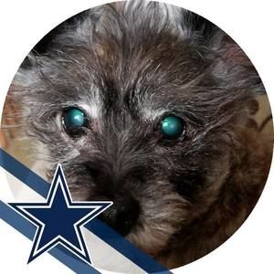 Meet your Posher, Colleen